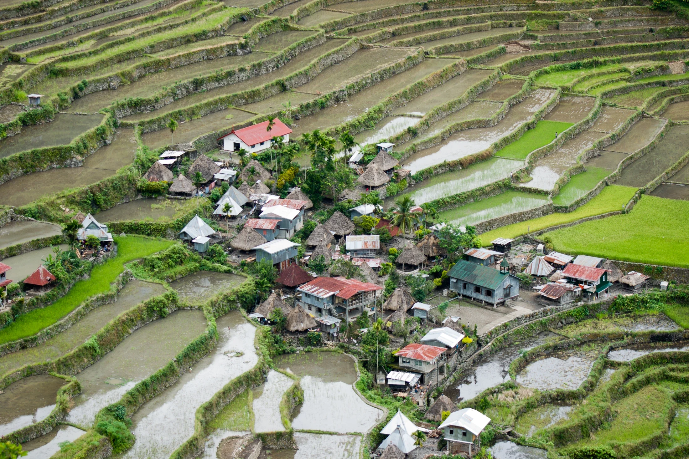Ifugao